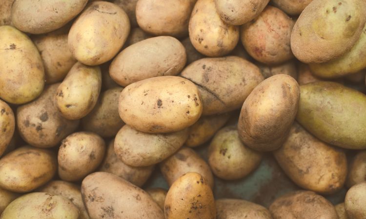 Potatoes