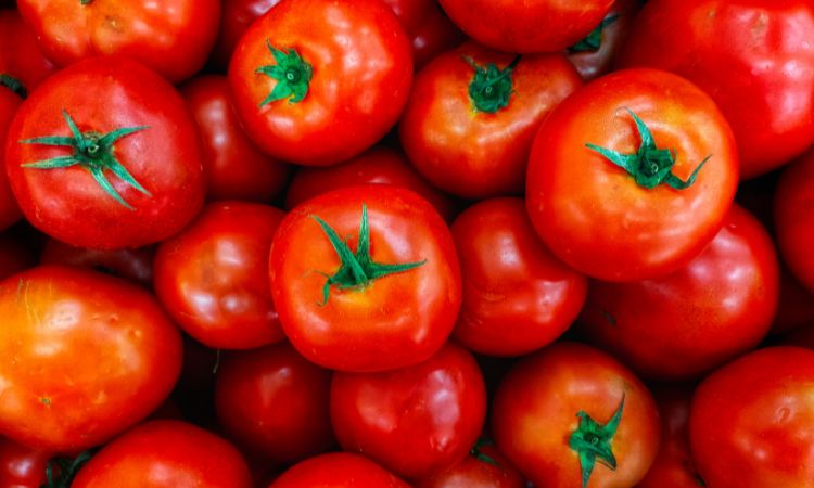 Tomatoes