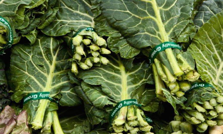 bunches of greens